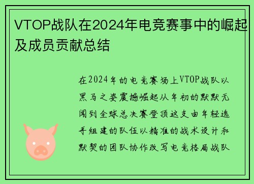 VTOP战队在2024年电竞赛事中的崛起及成员贡献总结